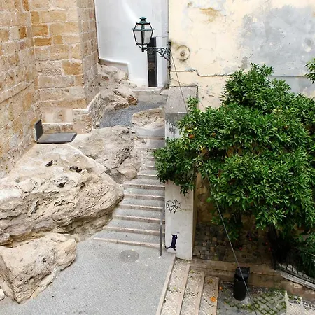 Old Fence - By Mayoral Lisbona