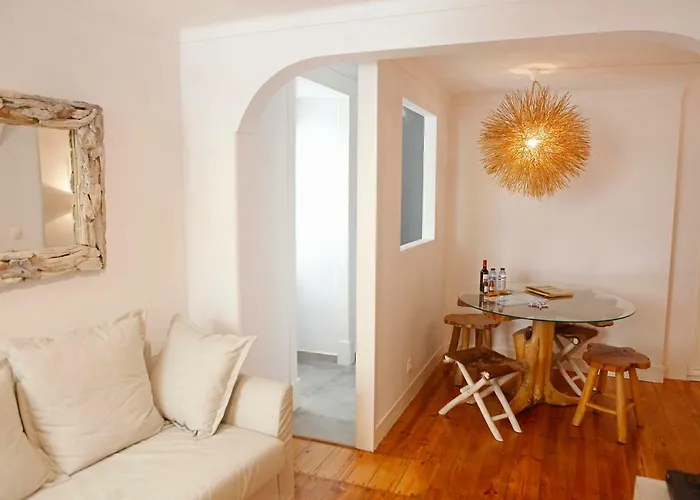 Old Fence - By Mayoral *