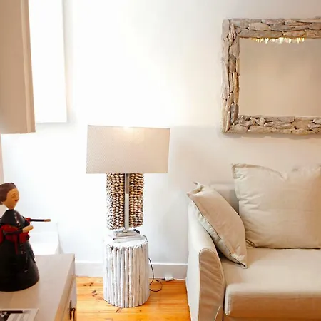 Old Fence - By Mayoral